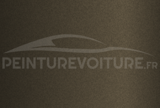 Code peinture Ford GR Gris