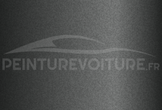Code peinture Hyundai GS Neutral Silver