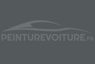 Code peinture Ford GYS Basalt Grey