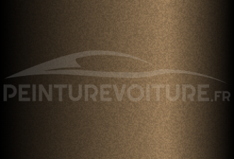 Code peinture Hyundai H5 Brown