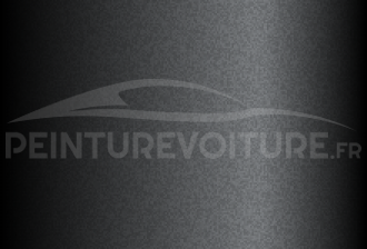 Code peinture Mitsubishi H89/10989 Corse Grey