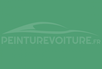 Code peinture Renault H91 Vert
