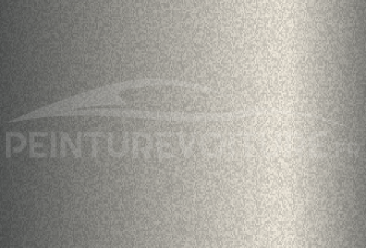 Code peinture Soueast H93 Gray