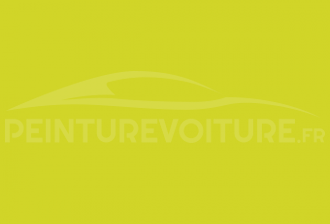 Code peinture Renault H93 Vert Telefonica