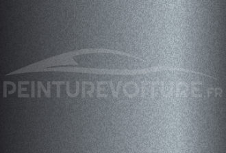 Code peinture Denza HDT Starry Grey