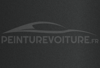 Code peinture Peugeot HVM Gris Axis