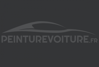 Code peinture Renault I45 Gris Graine