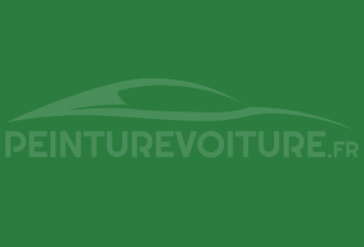 Code peinture Renault I99 Vert