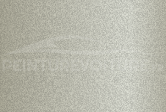Code peinture Evo IB919 Pearl Weiss
