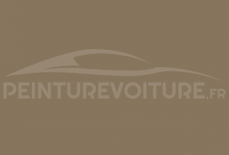 Code peinture Iveco IC 038 Beige Libia -50022-