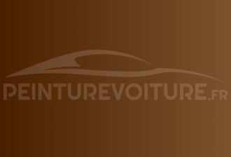Code peinture Infiniti CAC Brown
