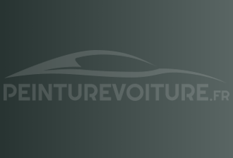 Code peinture Infiniti DJ3 Greenish Lt. Grey