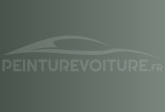 Code peinture Infiniti DT1 Green Silver