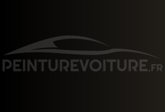 Code peinture Infiniti ES1 Dark Olive