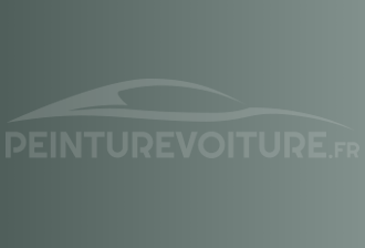 Code peinture Infiniti FL0 Greenish Silver