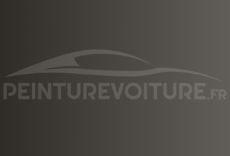 Code peinture Infiniti G05 Lt.grey
