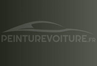 Code peinture Infiniti J20 New Sage Green