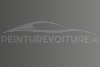 Code peinture Infiniti K25 Silver