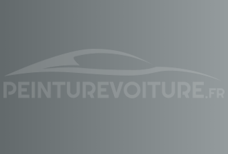 Code peinture Infiniti KG1 Bluish Silver