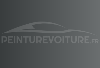 Code peinture Infiniti KR4 Silver
