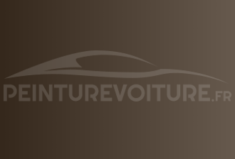 Code peinture Infiniti LC07 Brown