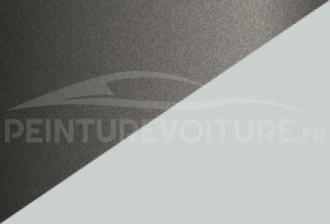 Code peinture Subaru J1 49b + 51e
