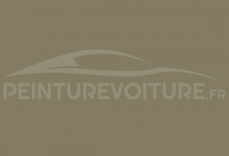 Code peinture Nissan JG0 Greyish Olive