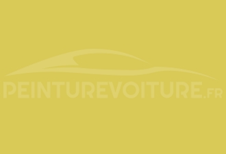Code peinture Hyundai JL Lemon Yellow-funny Yellow