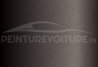 Code peinture Ford (Usa) JN7EWHA Stone Gray