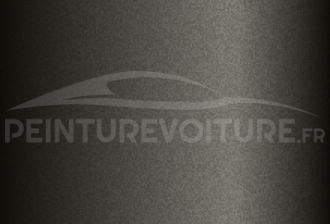 Code peinture Hyundai JP Bronze Grey