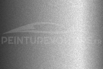 Code peinture Ford (Usa) M1732 Iconic Silver