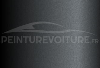 Code peinture Nissan KAD Grey - Graphite Shadow