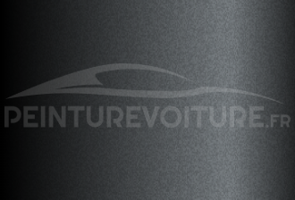 Code peinture Renault KAD Gunmetal Grey