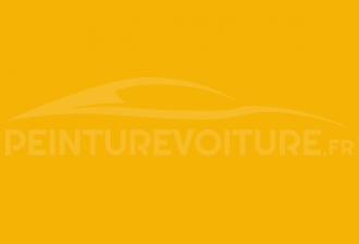 Code peinture Peugeot KAD Jaune