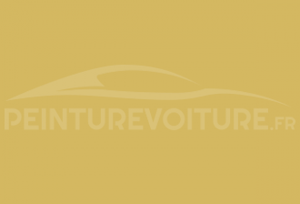 Code peinture Peugeot KAK Jaune Carioca