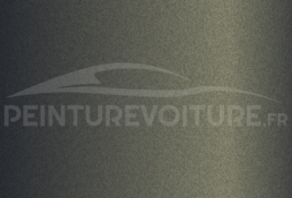 Code peinture Nissan KAT Storm Front Grey