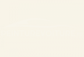 Code peinture Ford KKS Pure White