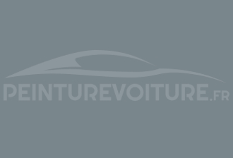 Code peinture Renault KNE Gris