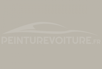 Code peinture Renault KNJ Gris