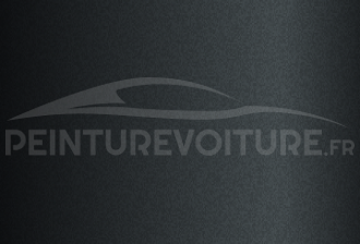 Code peinture Nissan KP1 Dark Grey