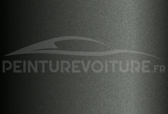 Code peinture Peugeot KTN (M09N) Gris Ermitage
