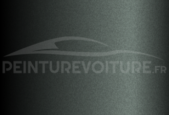 Code peinture Citroen KTT (M09T) Gris Garrigue