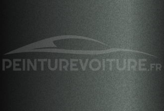 Code peinture Peugeot KTT (M09T) Gris Garrigue