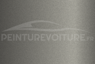 Code peinture Renault KYA Gris