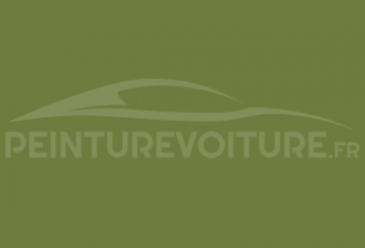 Code peinture Volkswagen L-1218 Verde Guaruja