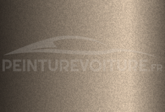 Code peinture Volkswagen L0Z1 Neodyme Matt