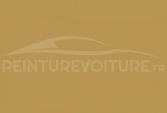 Code peinture Volkswagen L13N Currygelb