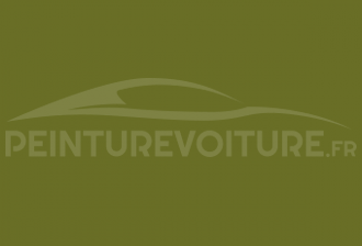 Code peinture Volkswagen L1406 Tropical Green