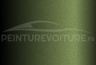 Code peinture Volkswagen L1411 Verde Musgo