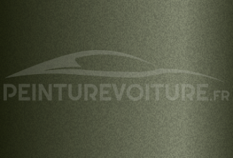Code peinture Volkswagen L1418 Verde Mantiquera